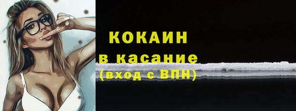 крисы Алексин