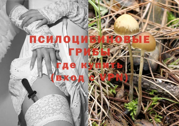 крисы Алексин