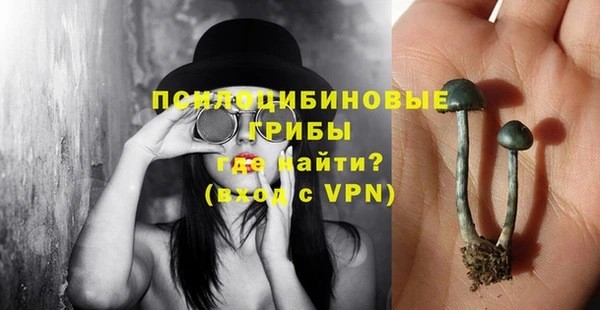 соль курить ск Алзамай