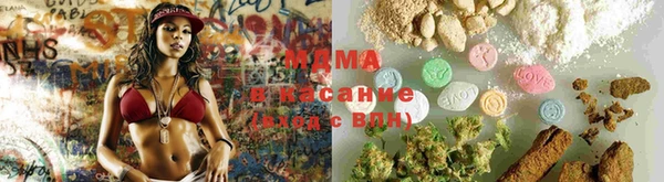 крисы Алексин